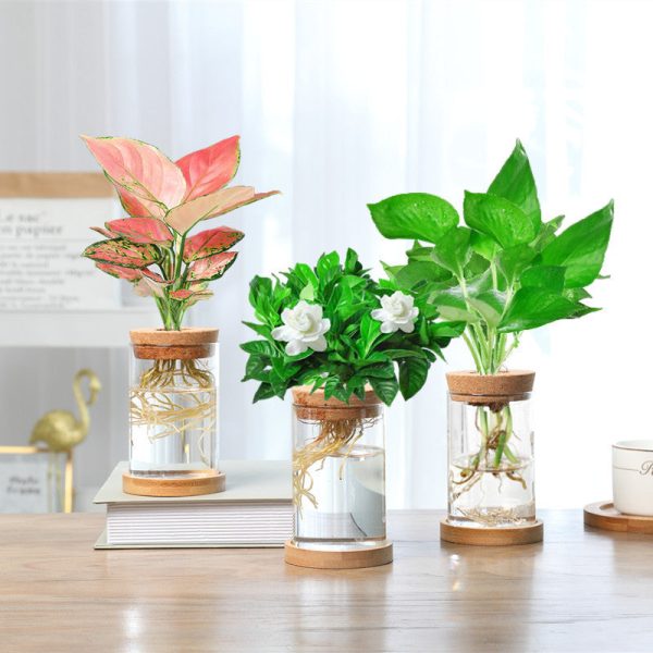 Nordic Transparent Glass Wooden Flower Vase Online Hot Sale - Image 3