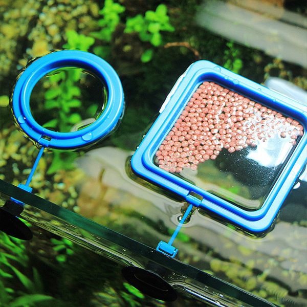 Creative Aquarium Floating Fish Feeder Tray Discount - Image 3