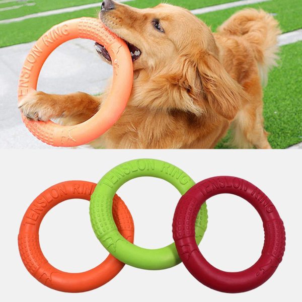 Pet Flying Disc Interactive Toys For Sale - Image 2