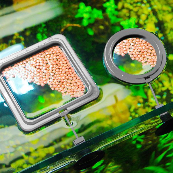 Creative Aquarium Floating Fish Feeder Tray Discount