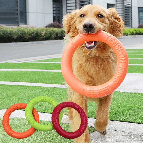 Pet Flying Disc Interactive Toys For Sale