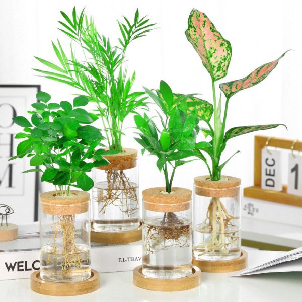 Nordic Transparent Glass Wooden Flower Vase Online Hot Sale