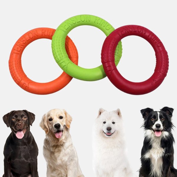 Pet Flying Disc Interactive Toys For Sale - Image 3