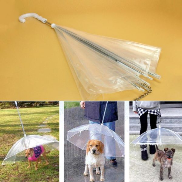 Creative Pet Walking Transparent Umbrella Cheap - Image 3