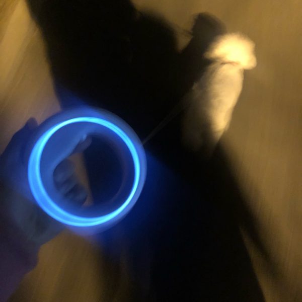 UFO Retractable Rechargeable LED Pet Leash Fashion - Image 5