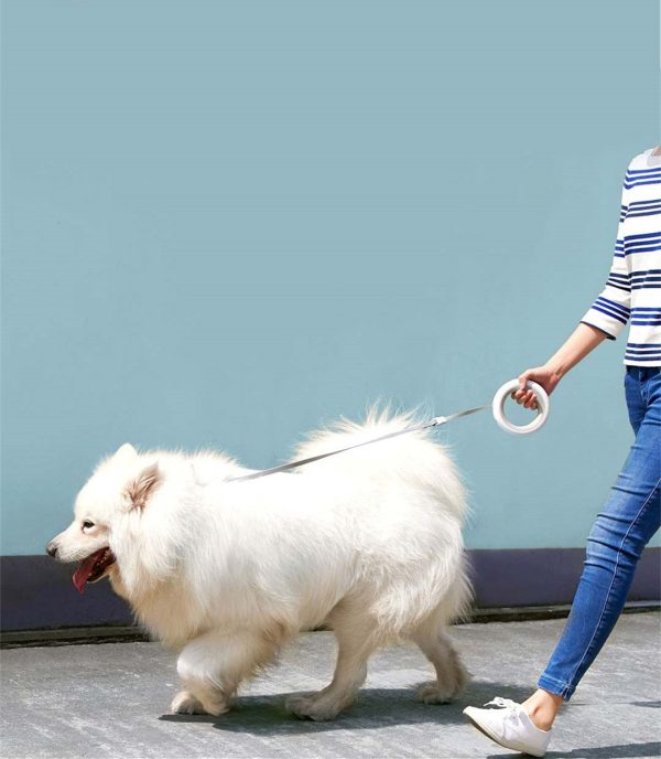 UFO Retractable Rechargeable LED Pet Leash Fashion - Image 2